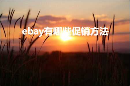 百度竞价推广网站 跨境电商知识:ebay有哪些促销方法